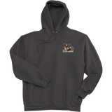 Dupage Black Bears Super Heavyweight Fleece Hoodie