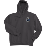 East Coast Vikings (Mens) Super Heavyweight Fleece Hoodie